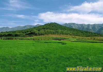 �й��ߴ�����������а�ͼ