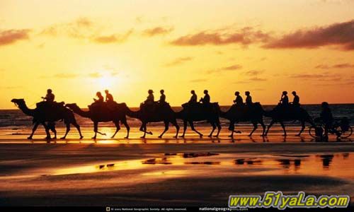 �й�ʮ������̽��֮��ͼ