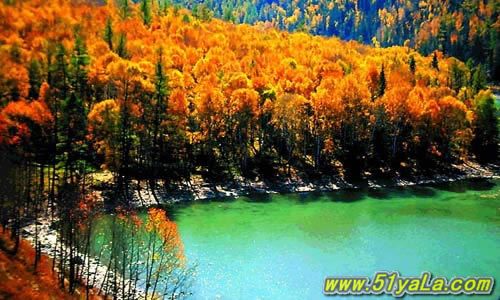 �й�ʮ������̽��֮��ͼ