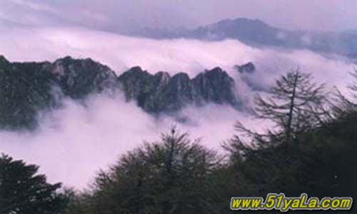 �й�ʮ������̽��֮��ͼ