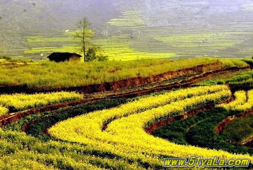 �й�ʮ������̽��֮��ͼ