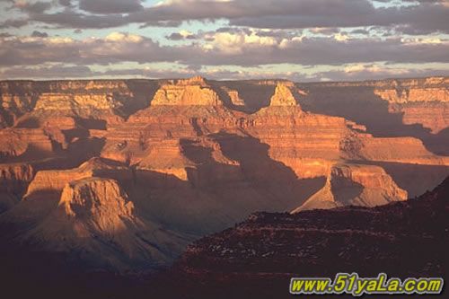 һ�����ɴ���������20������