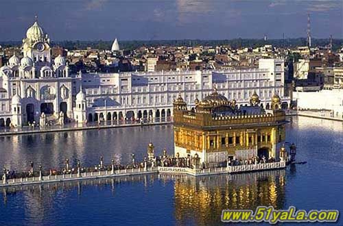 һ�����ɴ���������20������