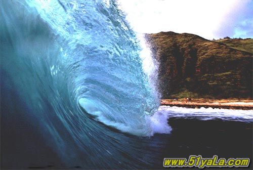 һ�����ɴ���������20������