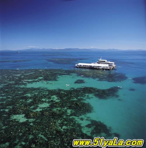 һ�����ɴ���������20������