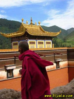 �ɾ��й�10����Ƭ��ʮ������