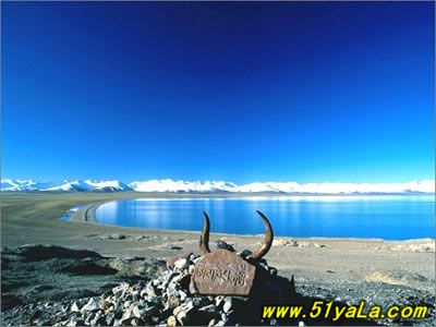 �ɾ��й�10����Ƭ��ʮ������