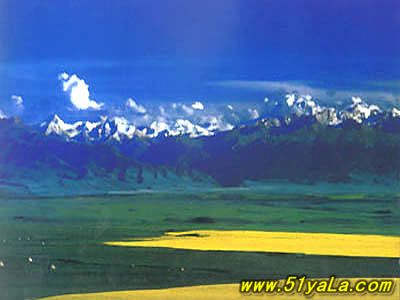 �ɾ��й�10����Ƭ��ʮ������