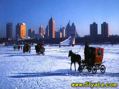 �й�������æ��������������