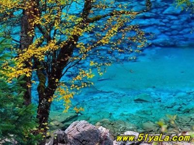 �＾���β��ܲ�ȥ��5������