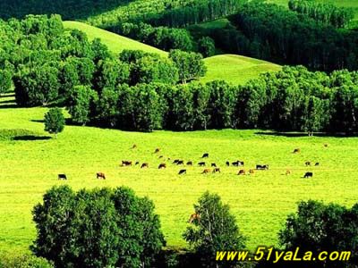 �＾���β��ܲ�ȥ��5������