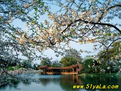 �＾���β��ܲ�ȥ��5������