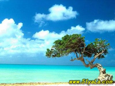 �������֮�й�ʮ��羰��