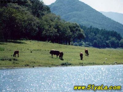 �������֮�й�ʮ��羰��