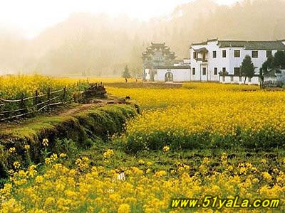 �й�ʮ����Ϥ�ص�İ����