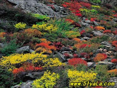 �й�ʮ����Ϥ�ص�İ����