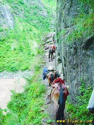 �й�ʮ������̽������ʤ��