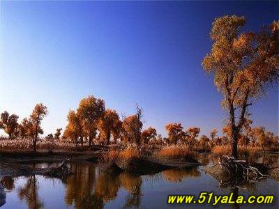 �й�ʮ������̽������ʤ��