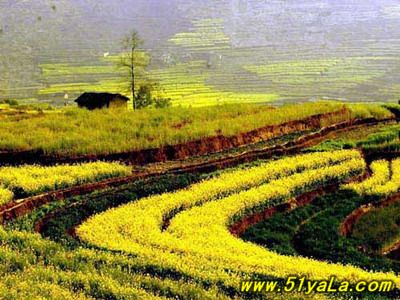 �й�ʮ������̽������ʤ��