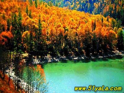 �й�ʮ������̽������ʤ��