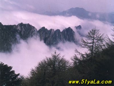 �й�ʮ������̽������ʤ��