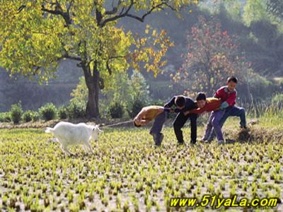 ��Ӱʦ���6���ط�