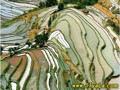 �й�������16�����