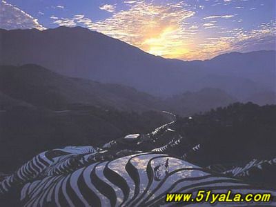 �й�������16�����