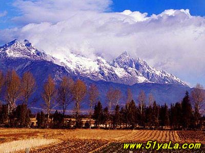 �й�������16�����