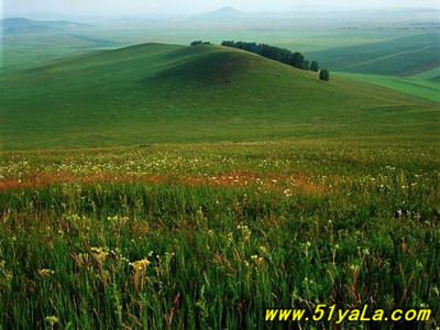 �й�������16�����