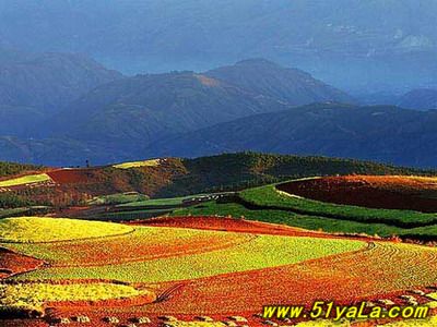 �й�������16�����