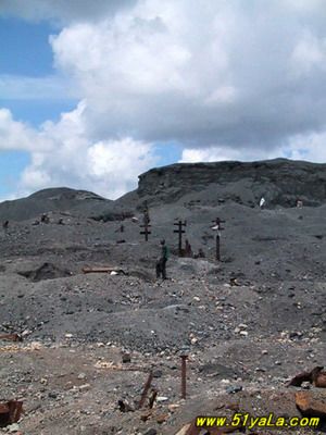 ����ʮ���������