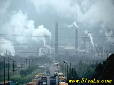 ����ʮ���������