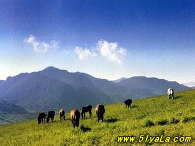 �����������������