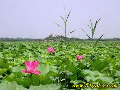 �����������������