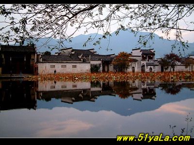 �й������Ĵ���