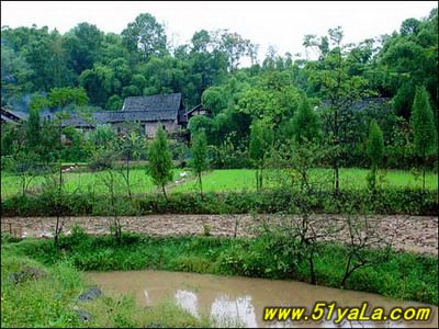 �й������Ĵ���