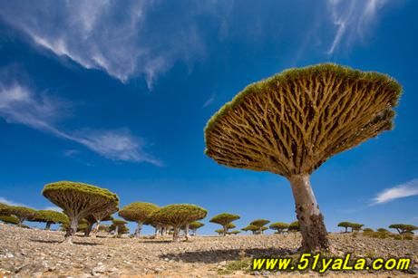 �����°˴���Ȼ���