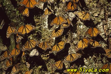 �����°˴���Ȼ���