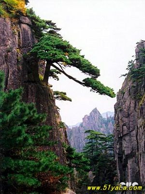 �й������������𺳵�ʮ����ɽ