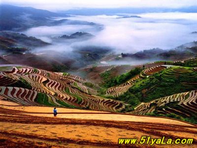 �й��羰������14���ط�