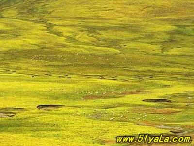 �й��羰������14���ط�