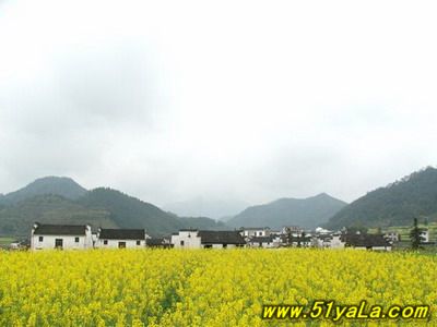 һ�����ɲ�ȥ��9������С��