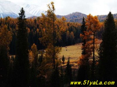 һ�����ɲ�ȥ��9������С��