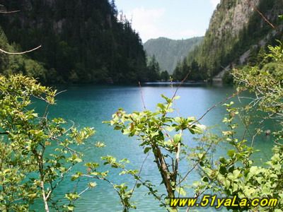 һ�����ɲ�ȥ��9������С��