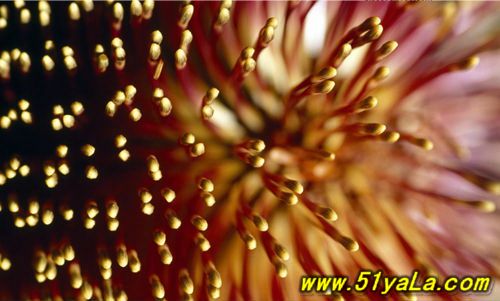 ���ҵ���10���������