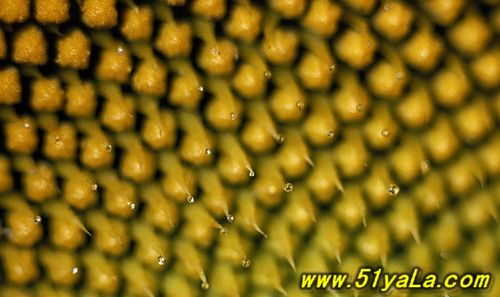 ���ҵ���10���������