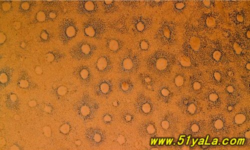 ���ҵ���10���������