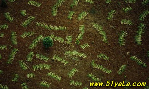 ���ҵ���10���������