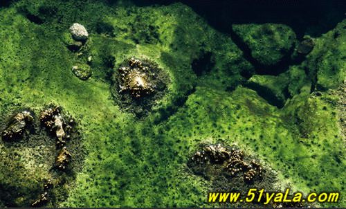 ���ҵ���10���������